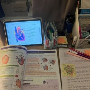 Online Anatomy Physiology Course