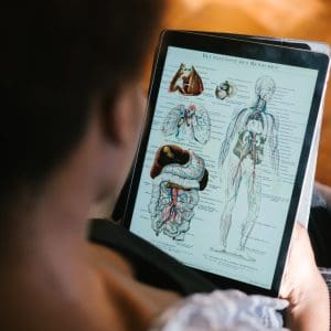 person reading Level 3 Anatomy & Physiology course content on tablet