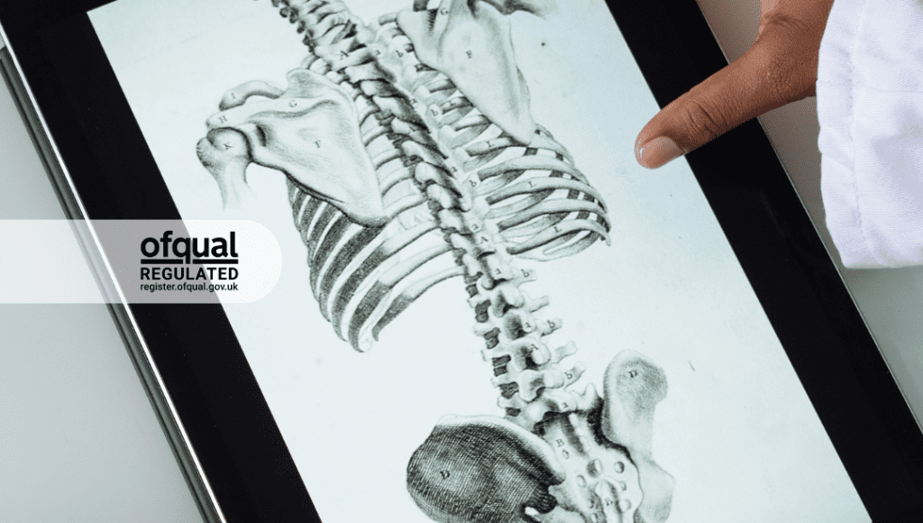 Online Anatomy Physiology Course