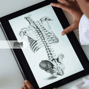 Online Anatomy Physiology Course