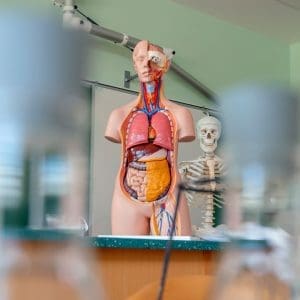 VTCT Level 3 Award in Anatomical and Physiological Knowledge of Body Systems (Online)